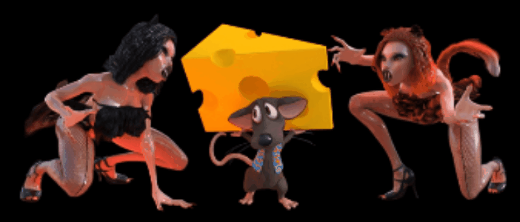 Here Mouse Fetish CatFight